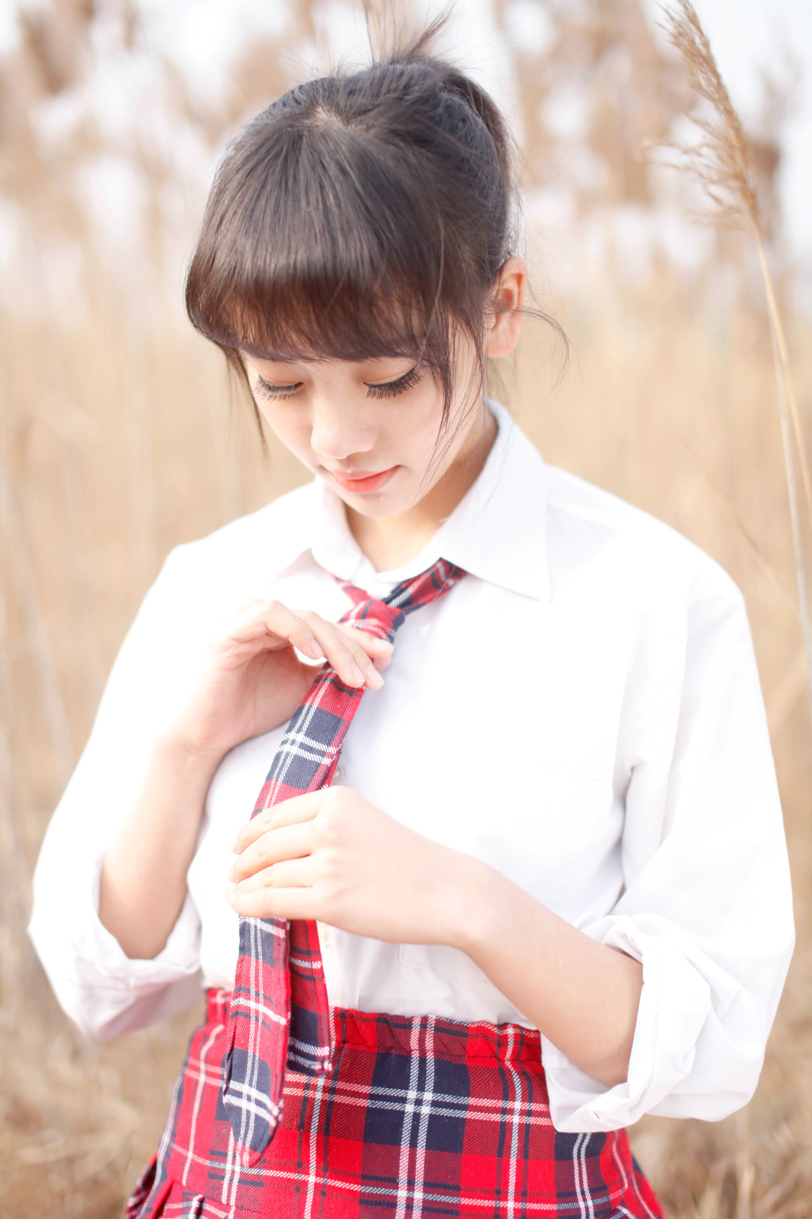 瑞莎图片