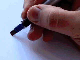 可爱动物邪恶搞笑动态GIF图片:这眼神太特么邪恶了图片