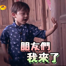 LOL九尾妖狐阿狸表情包图片