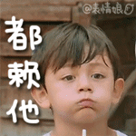 可爱猫咪带字表情包图片图片