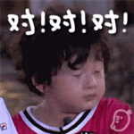 LOL九尾妖狐阿狸表情包图片