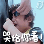 LOL九尾妖狐阿狸表情包图片