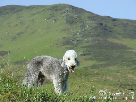 清新护眼自然风光图片图片