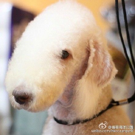 清新护眼自然风光图片图片