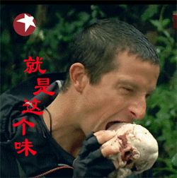 可爱猫咪带字表情包图片图片