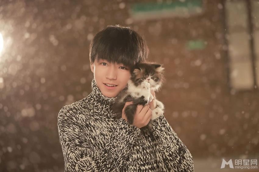 TFBOYS高清萌宠写真 翩翩少年萌化 TFBOYS图片图片