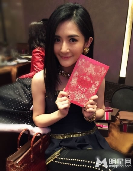 陈赫结婚照全曝光 文章何炅谢娜娄艺潇齐祝福图片