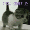 可爱猫咪带字表情包图片图片