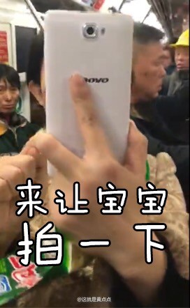 可爱猫咪带字表情包图片图片