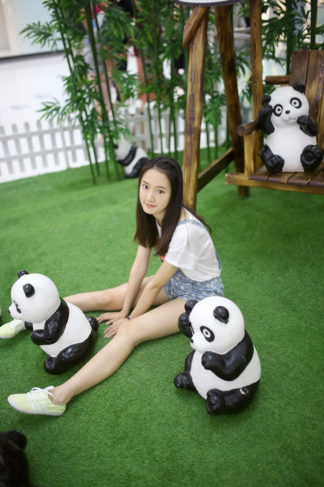 熊图片图片