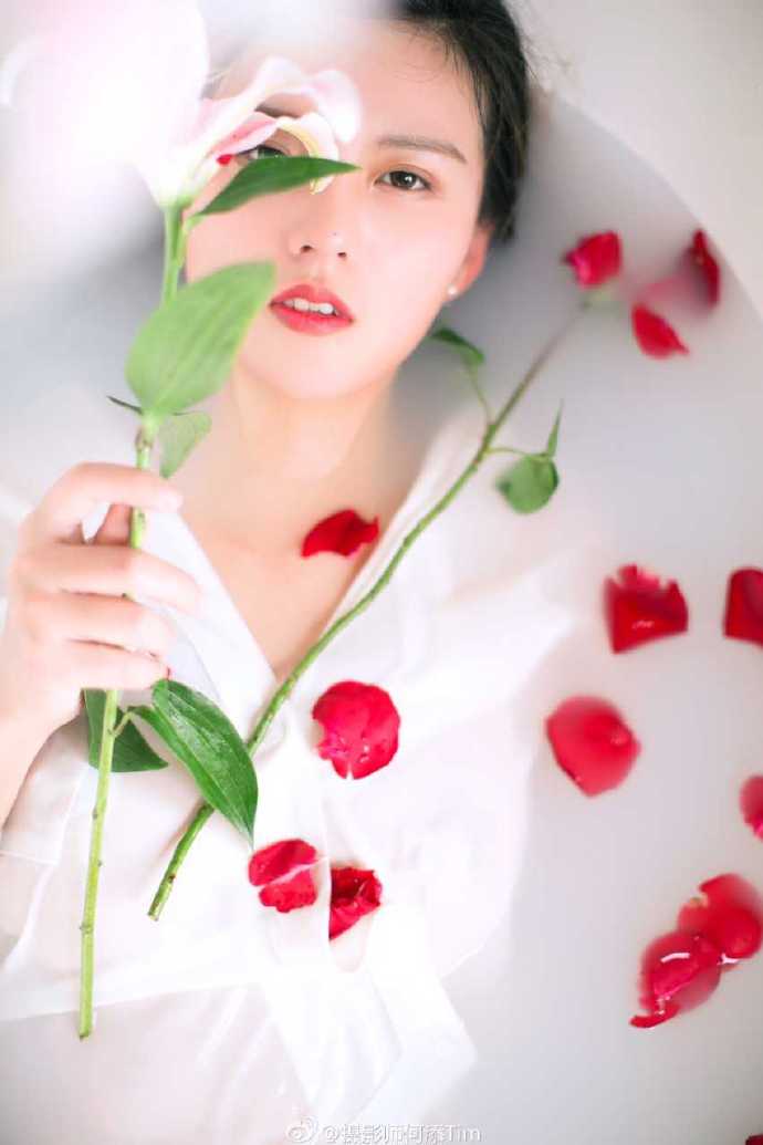 唯美鲜花摄影高清手机壁纸图片