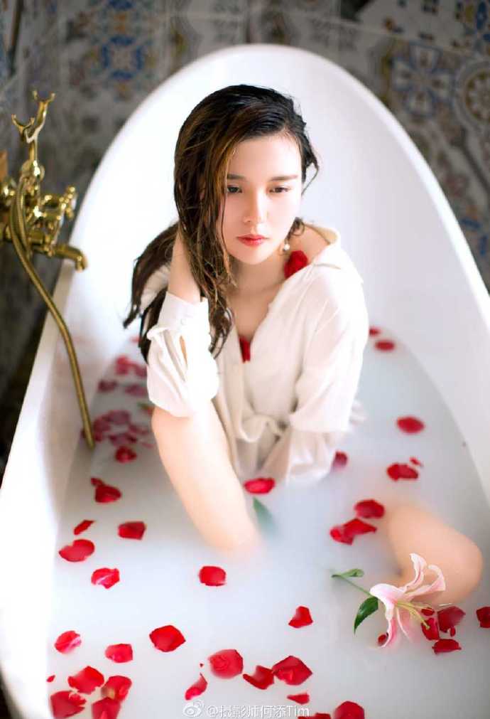 玫瑰花图片