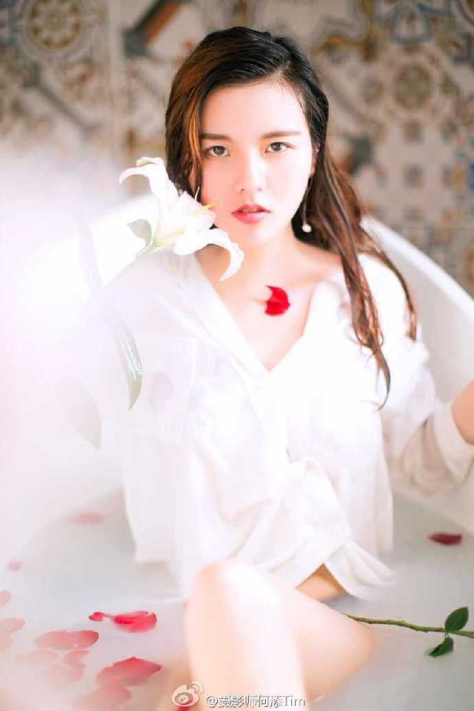 玫瑰花图片