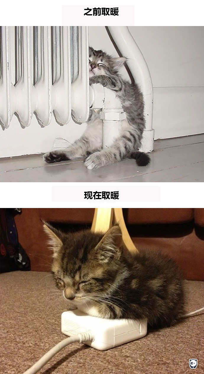90后性感小猫咪写真图片