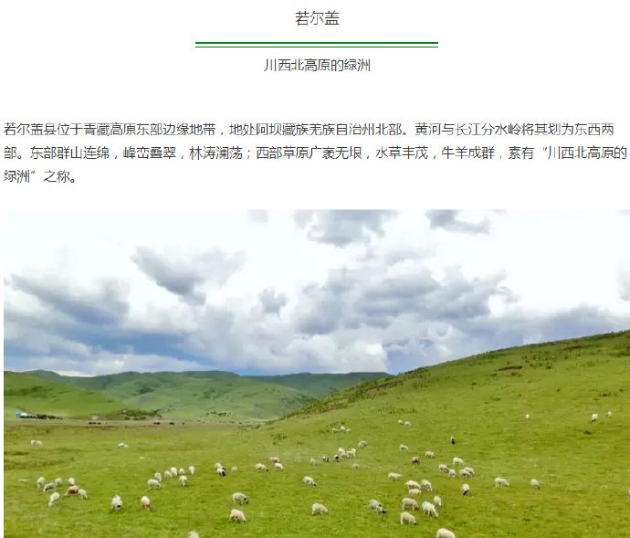 上海迪士尼万圣节可爱卡通人物图片图片