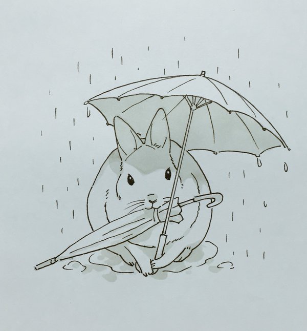 十二生肖兔图片  可爱卡通软兔子手绘插画图片图片