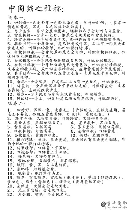 可爱小猫高清唯美桌面壁纸图片