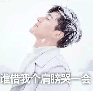 陈坤胡歌出席行走的力量出发仪式图片