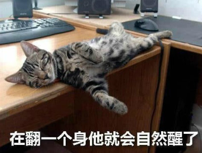 幻若仙境般的动物世界图片