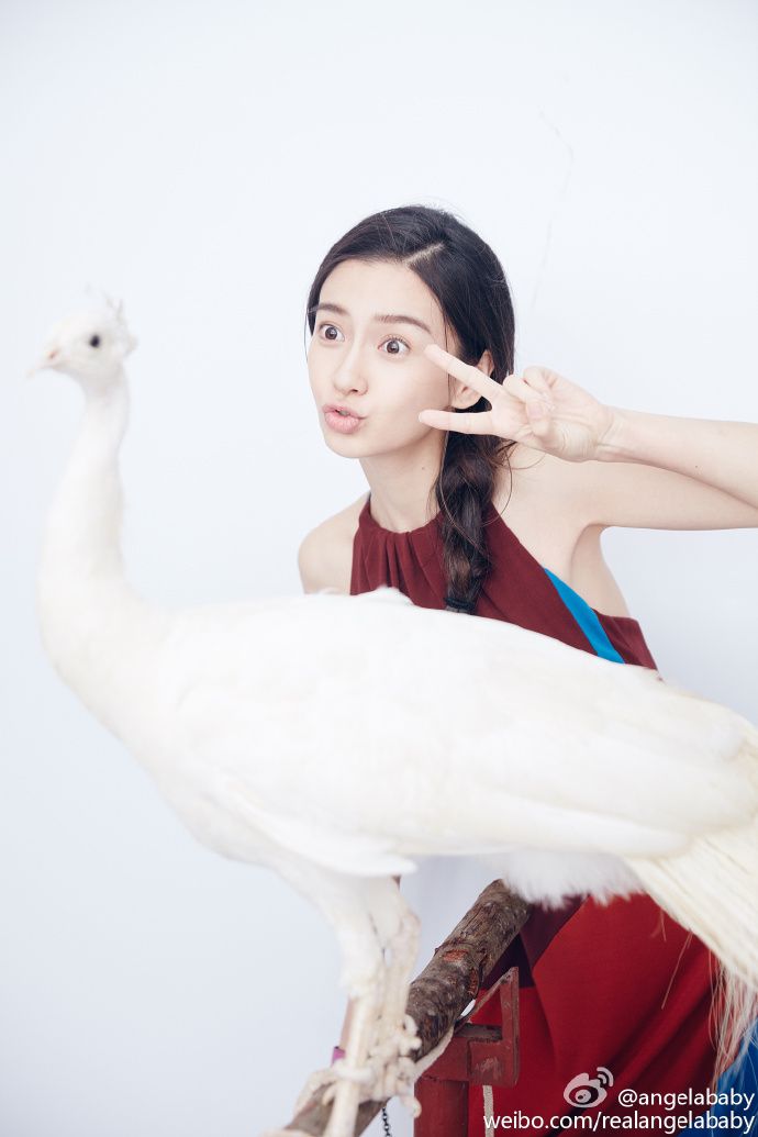 中国内地上海影视女演员Angelababy杨颖最新写真图片图片