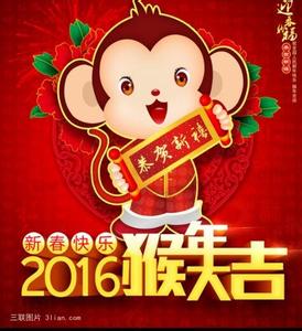 卡通拽拽猫万圣节节日主题系列桌面壁纸高清（4）图片