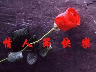 南柱赫综艺节日tasty road高清截图萌图整理集合图片