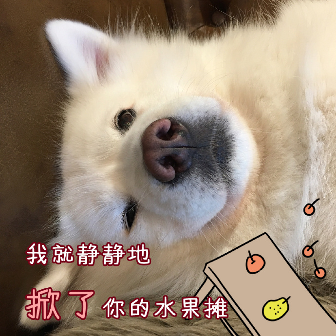 菲律宾南海问题动物表情包 南海是中国的图片图片