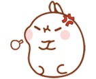 十二生肖兔图片  兔子茶韩国可爱简笔插画图片图片