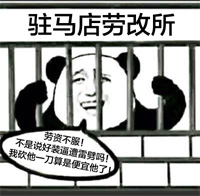 熊图片图片