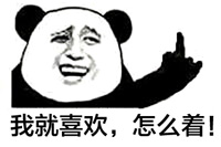 熊图片图片