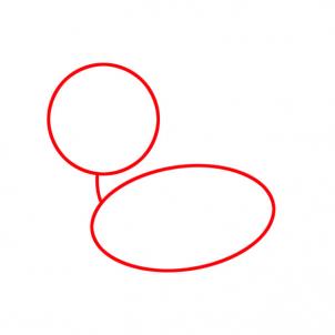 鹦鹉简笔画图片：教你怎么画鹦鹉图片