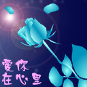 爱情浪漫温馨浪漫欧美情侣图片大全手机壁纸图片