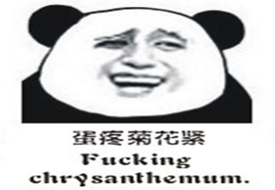 金馆长熊猫系列微信最新表情包 骚年来一发！图片