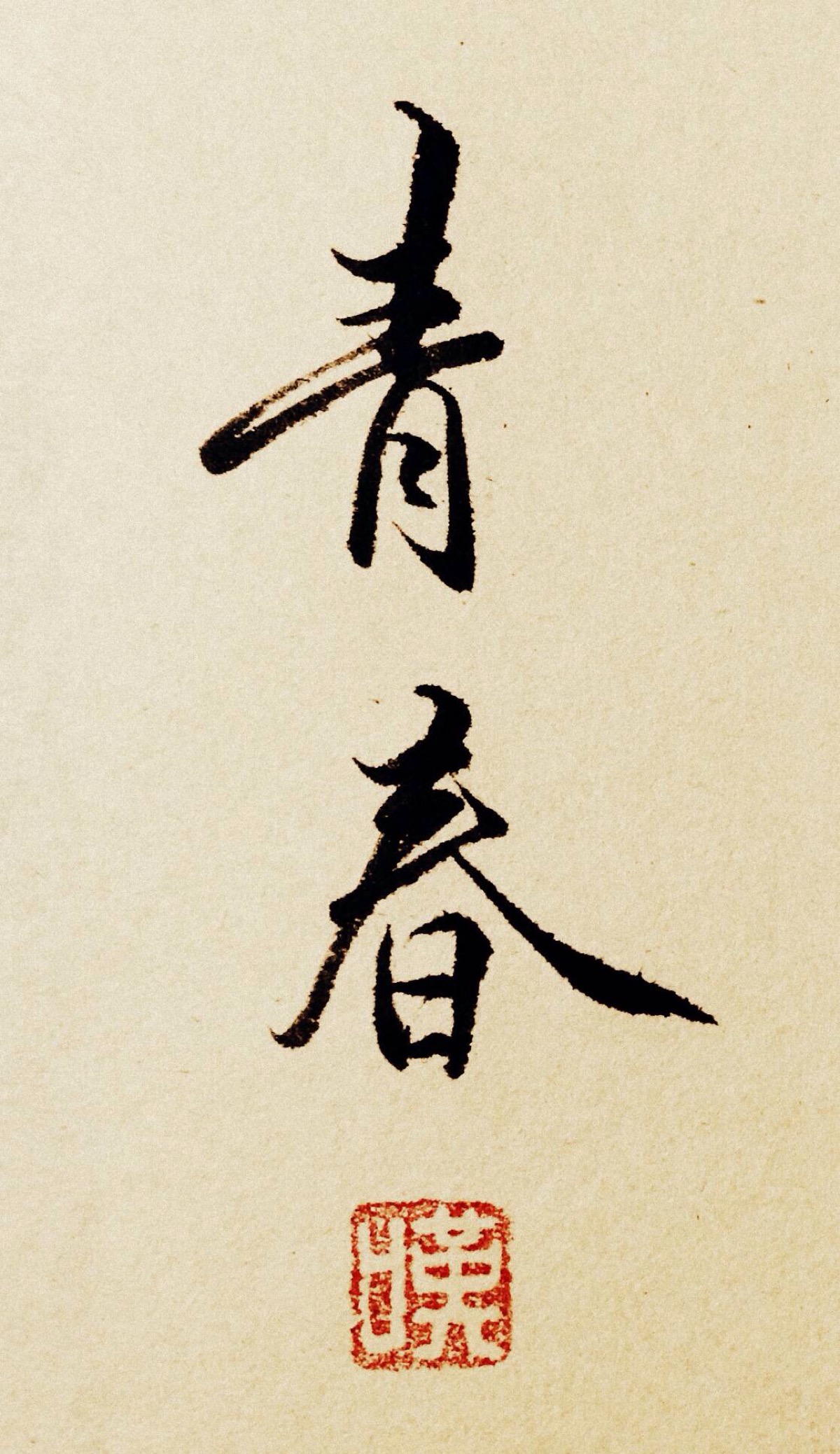 字体图片图片