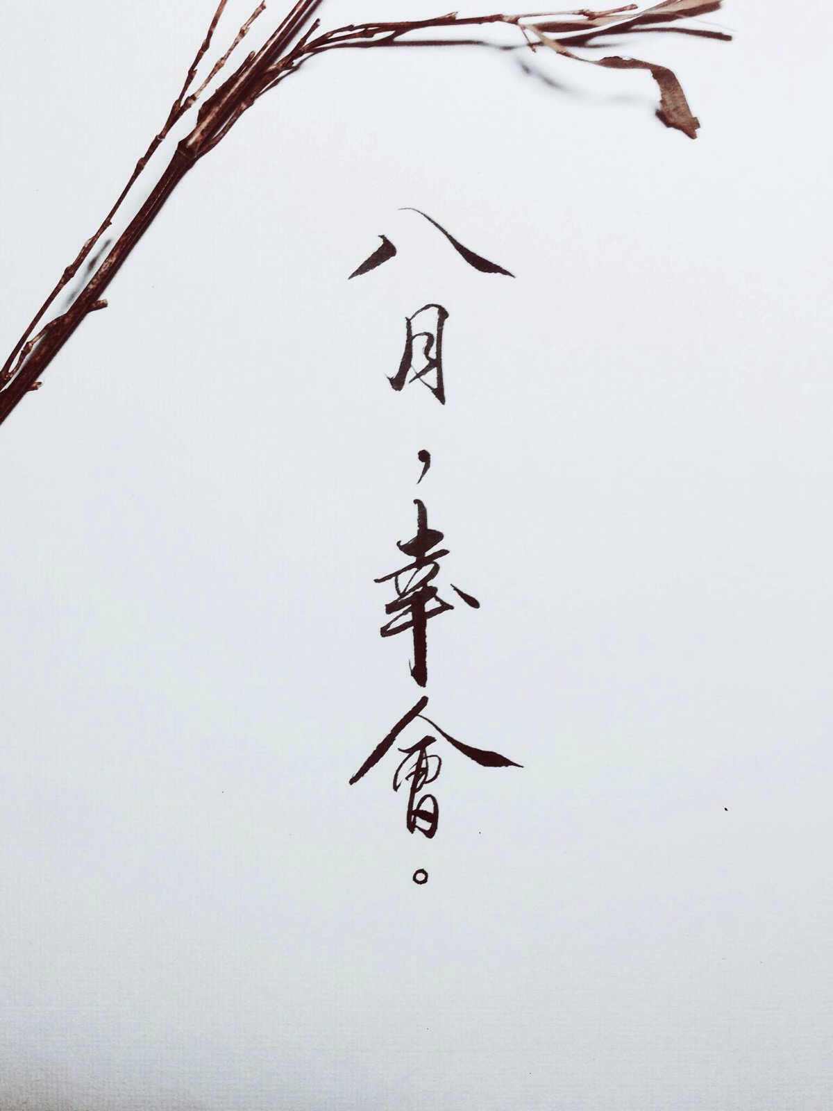 字体图片图片