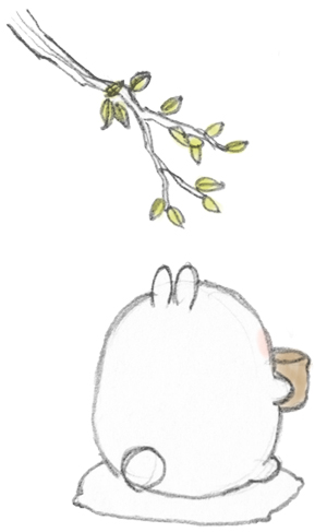 兔子壁纸图片