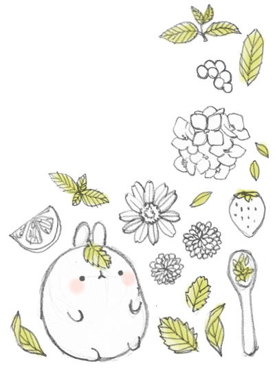 兔子壁纸图片