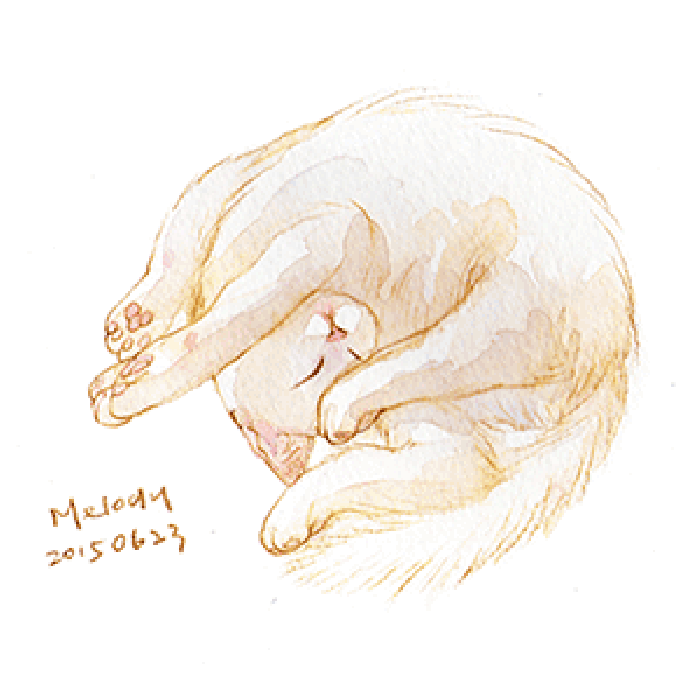 夏小茶Melody可爱萌猫小清新手绘GIF图片图片