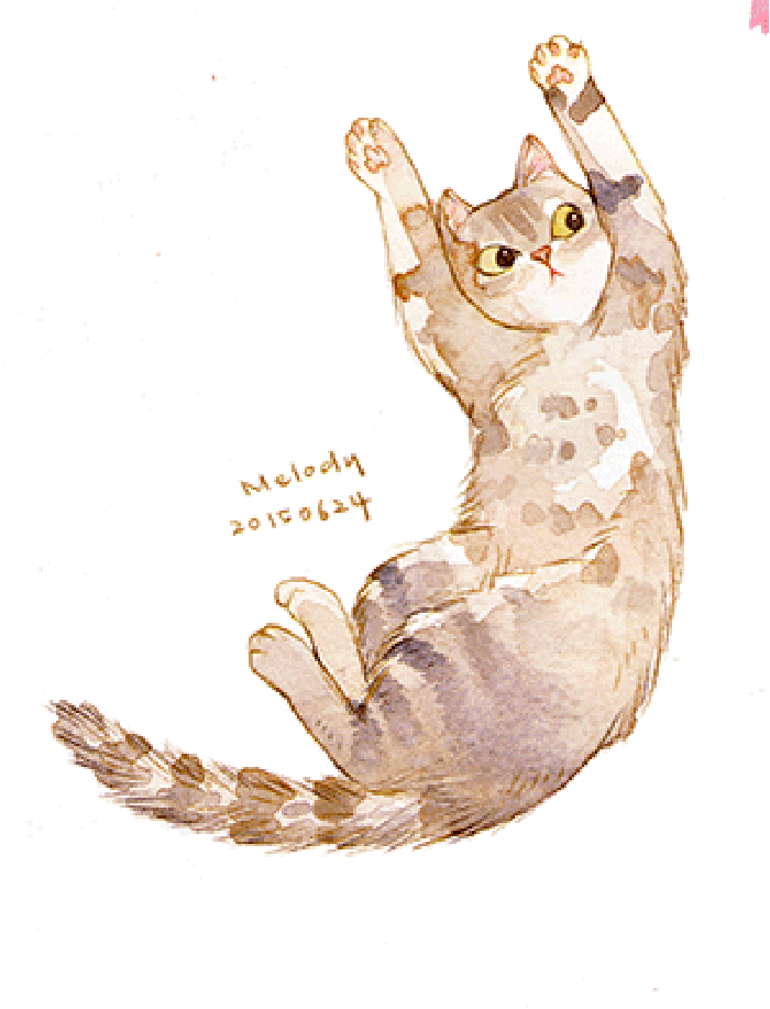 微博漫画家郭斯特的猫可爱动物写真图片图片