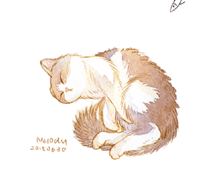 微博漫画家郭斯特的猫可爱动物写真图片图片