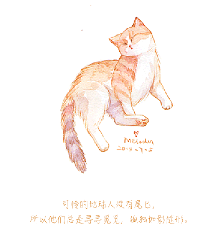 微博漫画家郭斯特的猫可爱动物写真图片图片