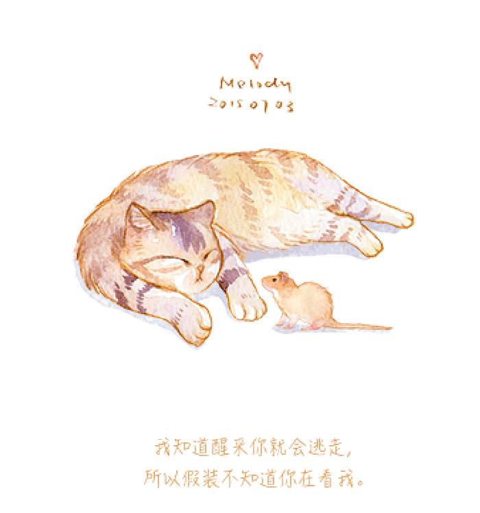 微博漫画家郭斯特的猫可爱动物写真图片图片