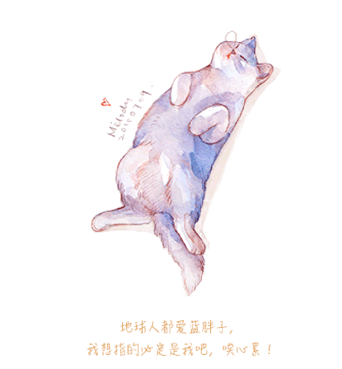 微博漫画家郭斯特的猫可爱动物写真图片图片