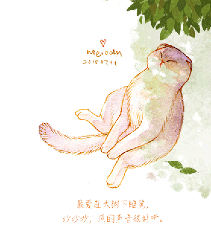 微博漫画家郭斯特的猫可爱动物写真图片图片
