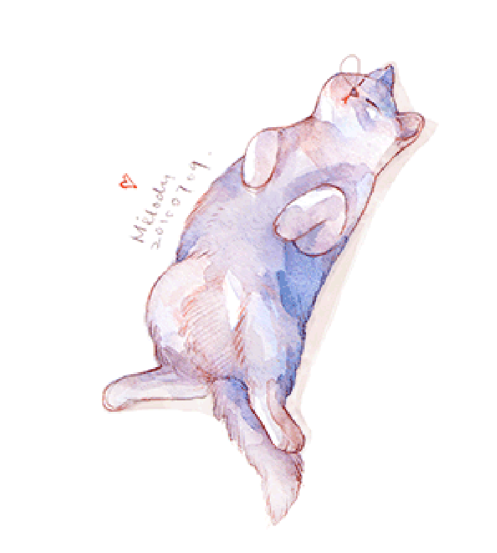 微博漫画家郭斯特的猫可爱动物写真图片图片