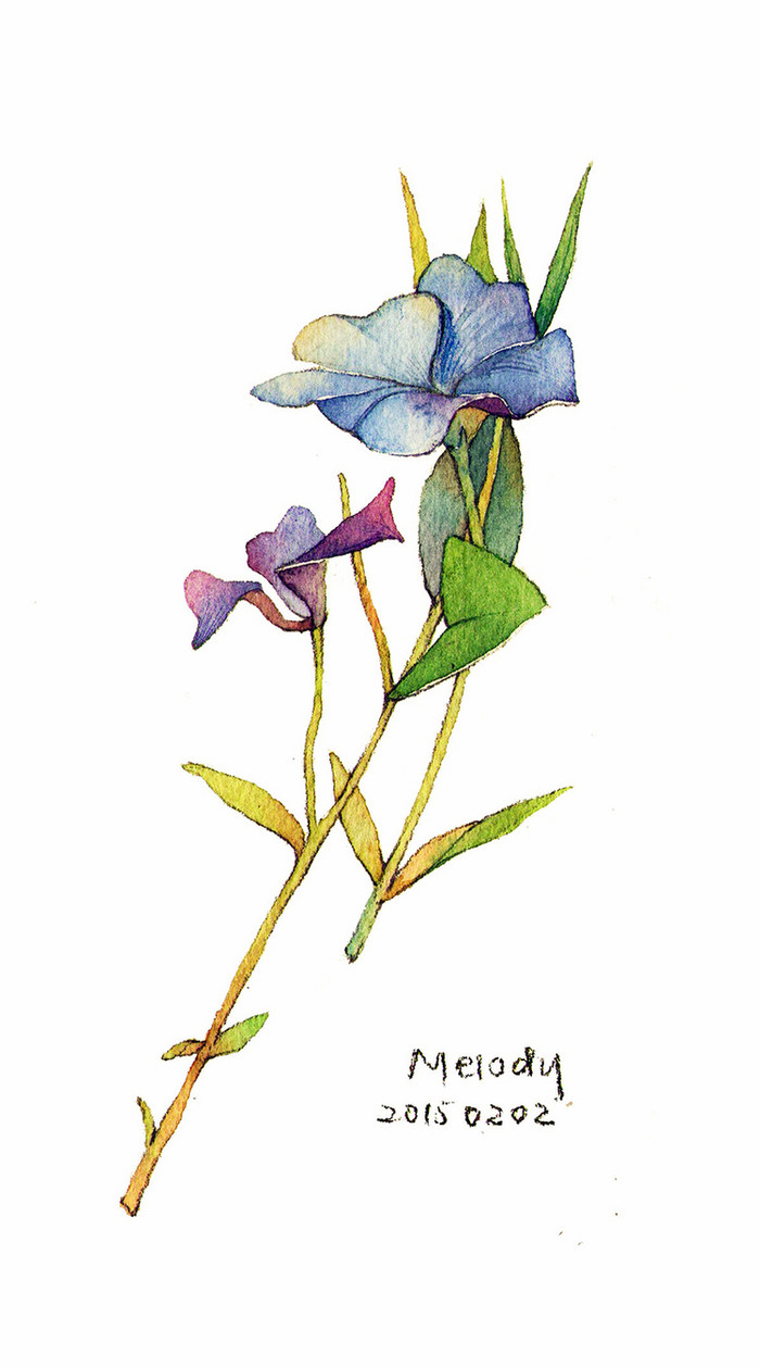 度薇年水彩手绘花环小清新插画图片图片