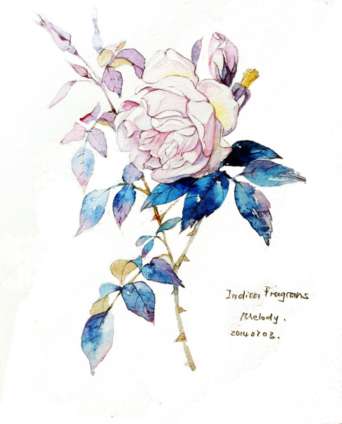 度薇年水彩手绘花环小清新插画图片图片
