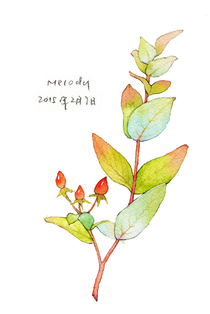 度薇年水彩手绘花环小清新插画图片图片