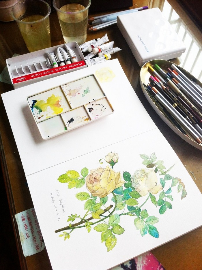 度薇年水彩手绘花环小清新插画图片图片