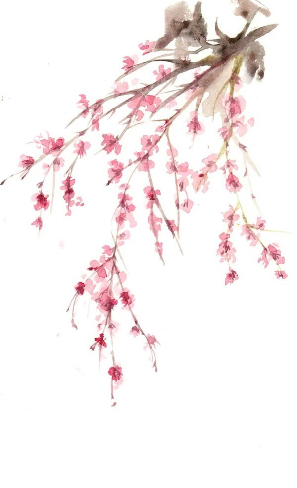 度薇年水彩手绘花环小清新插画图片图片